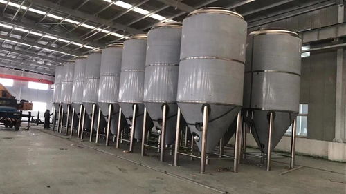 遼寧自動(dòng)化精釀啤酒設(shè)備 2000升廠家直銷(xiāo)與變形縫裝置